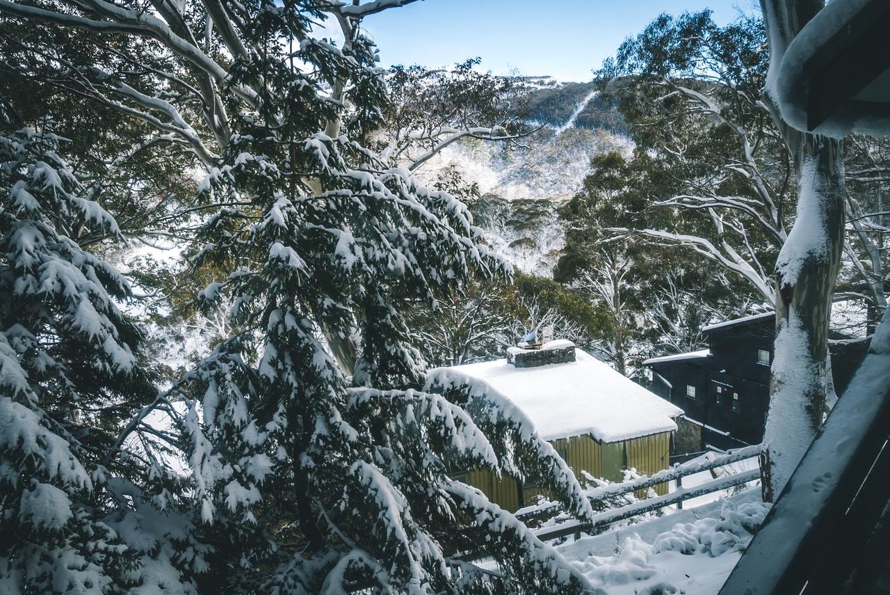 Pure Chalet Thredbo Bagian luar foto