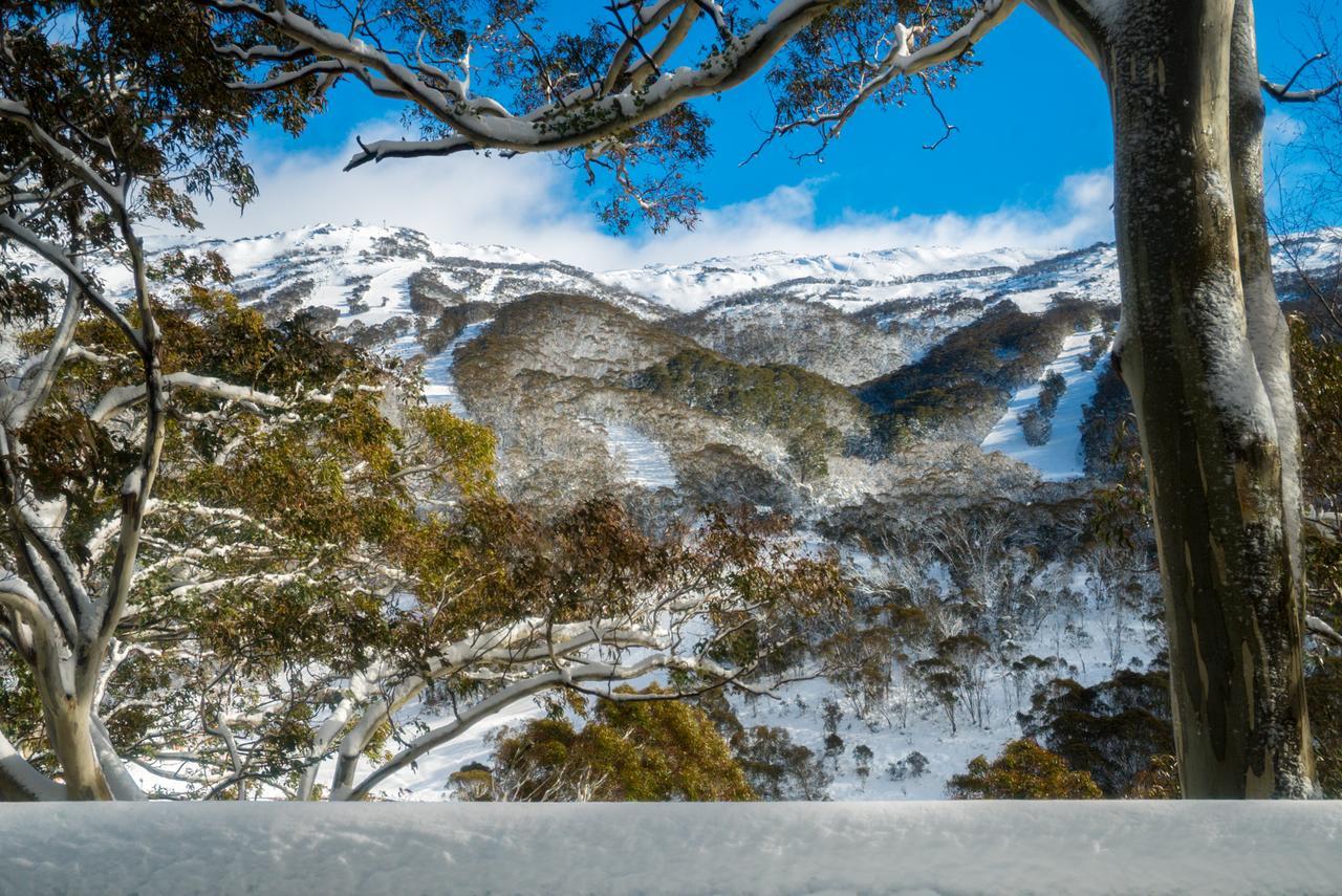 Pure Chalet Thredbo Bagian luar foto