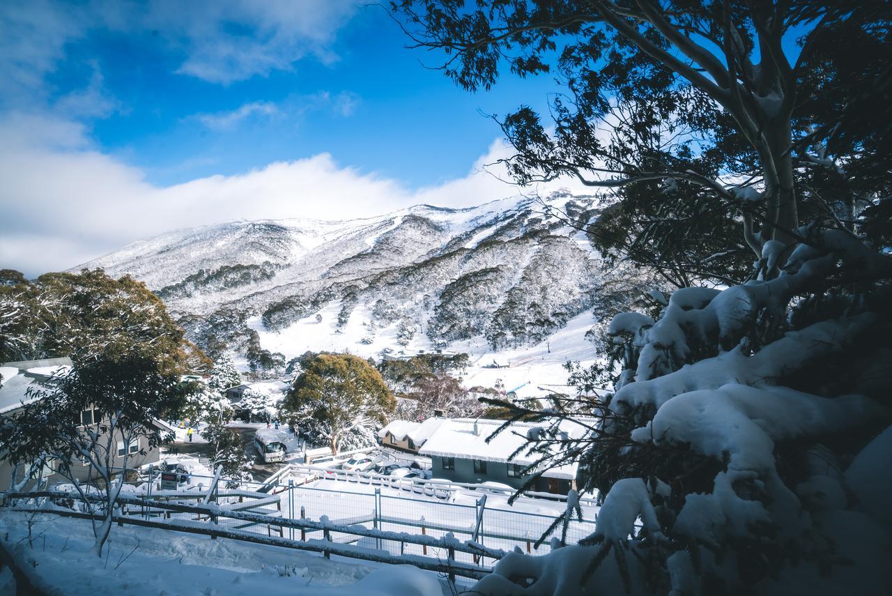 Pure Chalet Thredbo Bagian luar foto