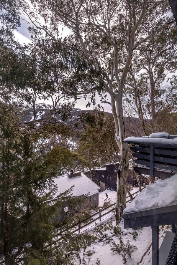 Pure Chalet Thredbo Bagian luar foto
